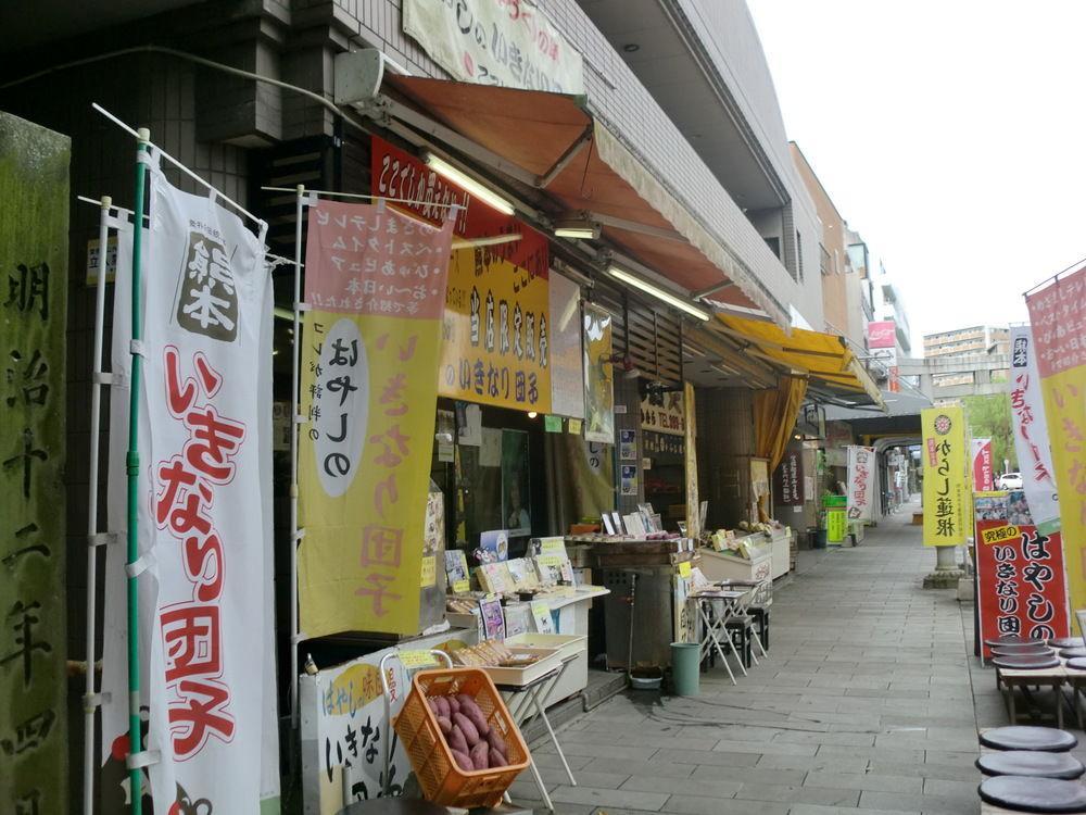 Suizenji Comfort Hotel Kumamoto Buitenkant foto