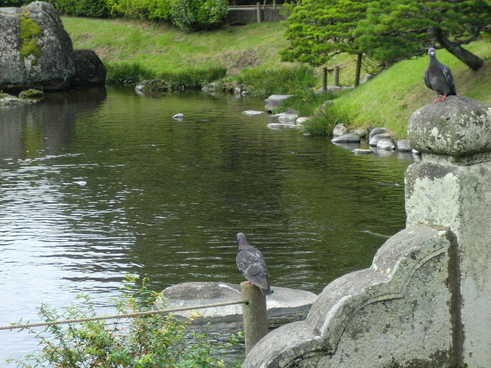 Suizenji Comfort Hotel Kumamoto Buitenkant foto